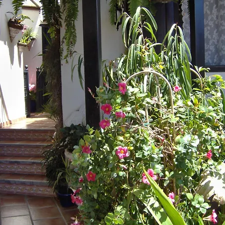 Mit Privatem Balkon Sowie Meer- Und Gebirgsblick Im Modernen Stil *